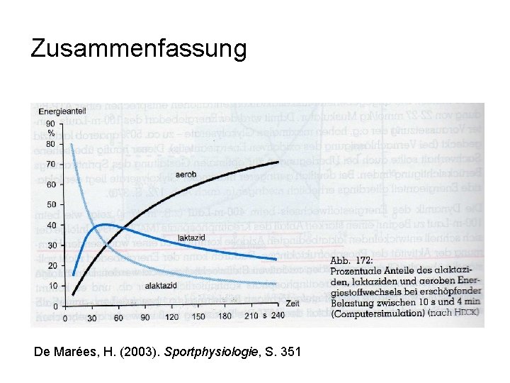 Zusammenfassung De Marées, H. (2003). Sportphysiologie, S. 351 