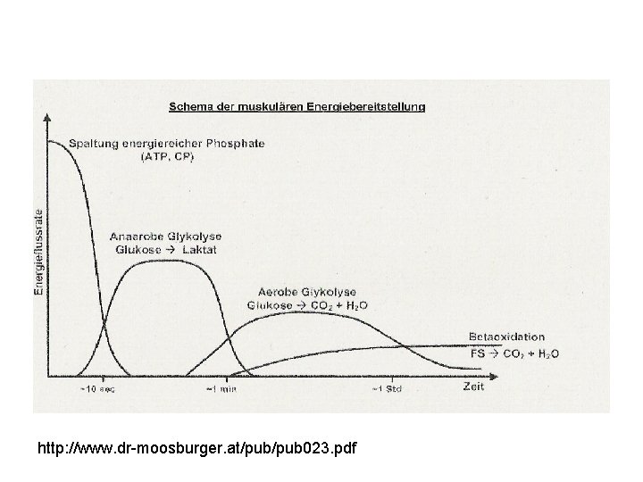 http: //www. dr-moosburger. at/pub 023. pdf 