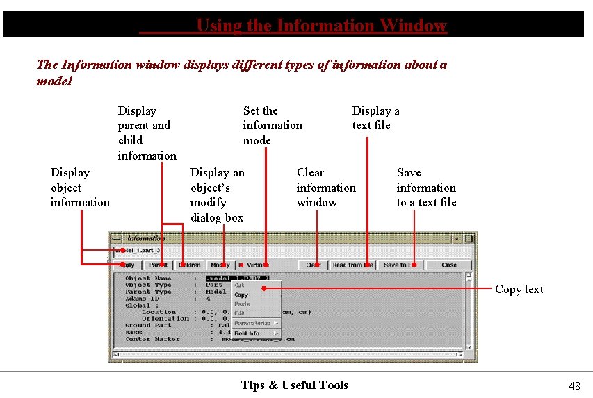 Using the Information Window The Information window displays different types of information about a