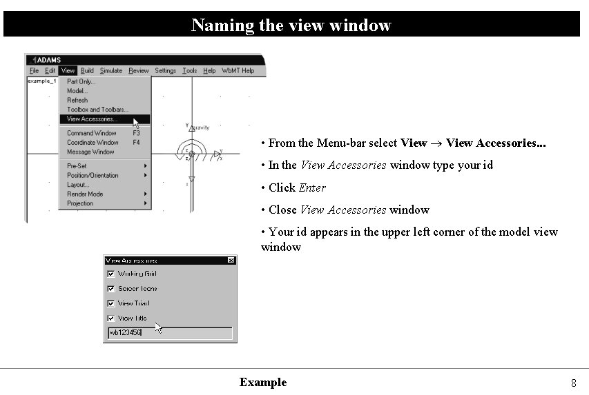 Naming the view window • From the Menu-bar select View Accessories. . . •