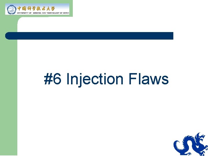 #6 Injection Flaws 