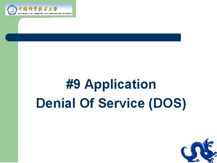 #9 Application Denial Of Service (DOS) 