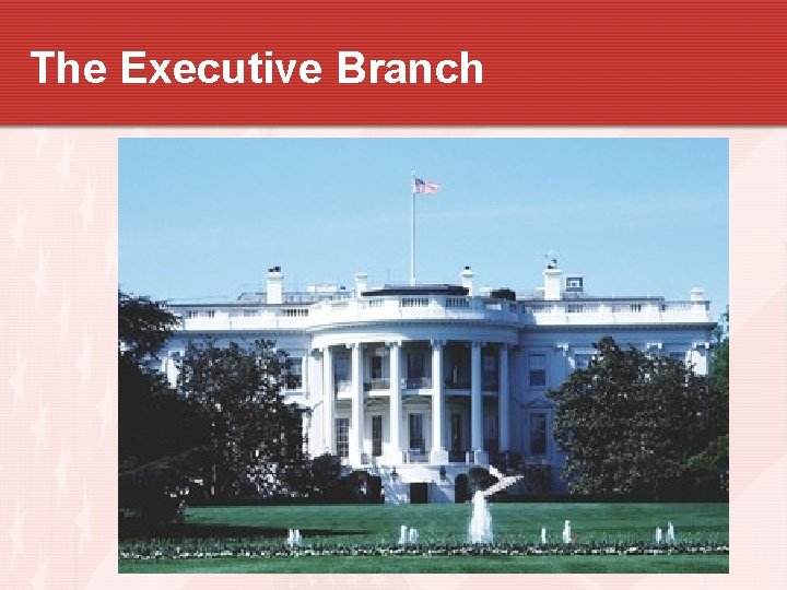 The Executive Branch 