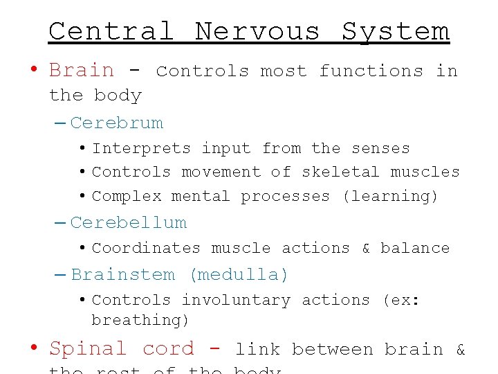 Central Nervous System • Brain - controls most functions in the body – Cerebrum Central Nervous System • Brain - controls most functions in the body – Cerebrum