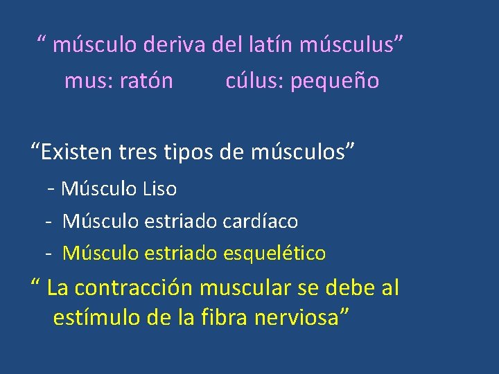 “ músculo deriva del latín músculus” mus: ratón cúlus: pequeño “Existen tres tipos de