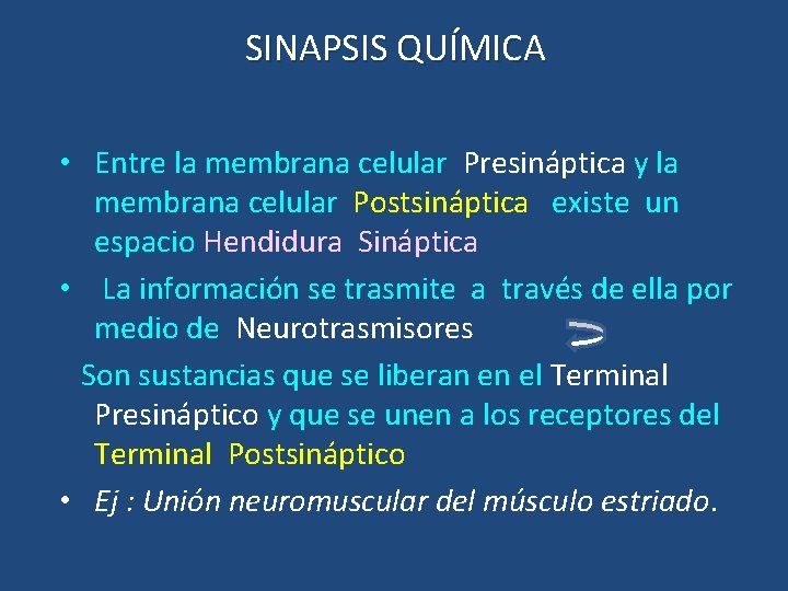 SINAPSIS QUÍMICA • Entre la membrana celular Presináptica y la membrana celular Postsináptica existe