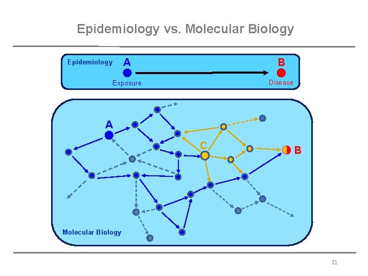 Epidemiology vs. Molecular Biology A B Exposure Disease Epidemiology A C B Molecular Biology