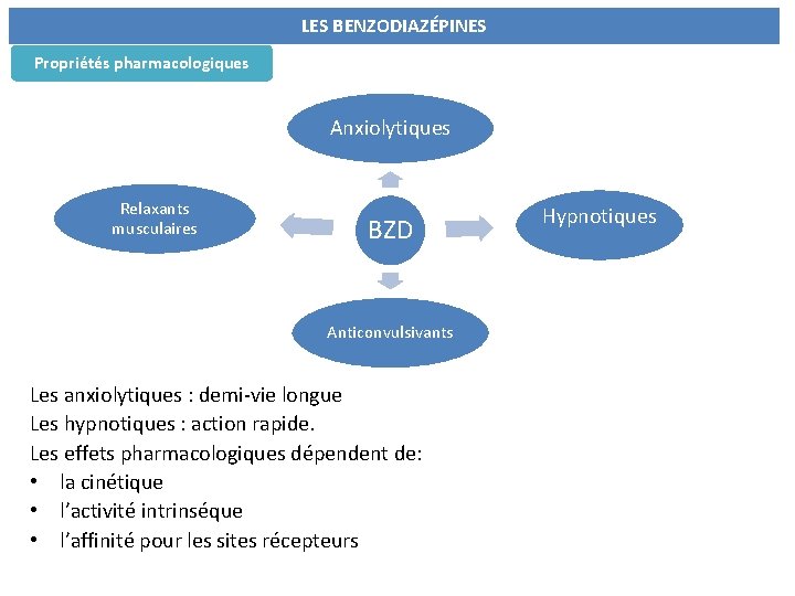  Propriétés pharmacologiques LES BENZODIAZÉPINES Anxiolytiques Relaxants musculaires BZD Anticonvulsivants Les anxiolytiques : demi-vie