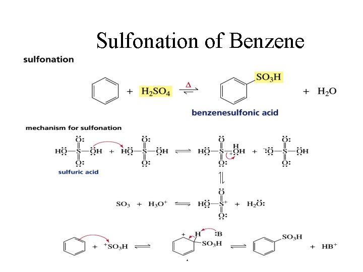 Sulfonation of Benzene Chapter 15 25 