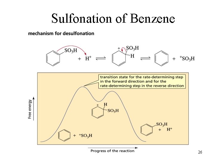 Sulfonation of Benzene 26 