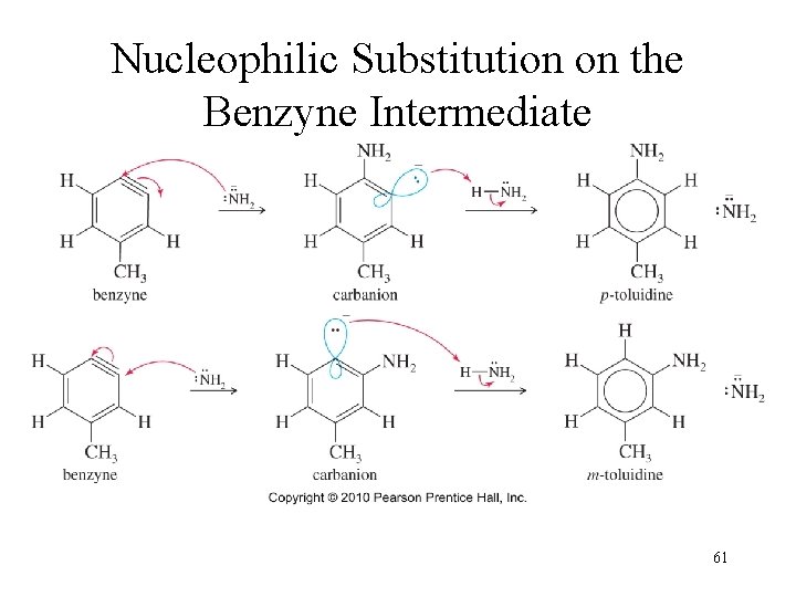 Nucleophilic Substitution on the Benzyne Intermediate 61 