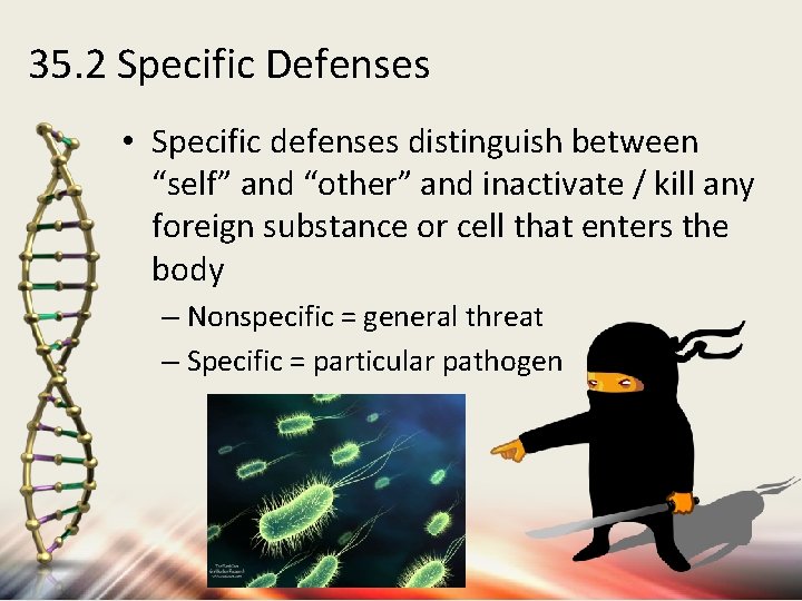 35. 2 Specific Defenses • Specific defenses distinguish between “self” and “other” and inactivate