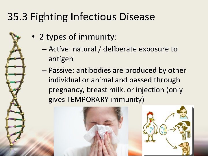 35. 3 Fighting Infectious Disease • 2 types of immunity: – Active: natural /