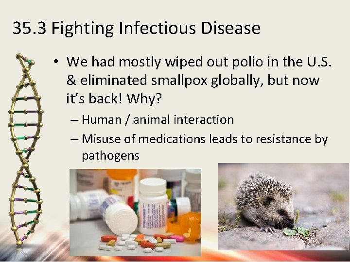 35. 3 Fighting Infectious Disease • We had mostly wiped out polio in the