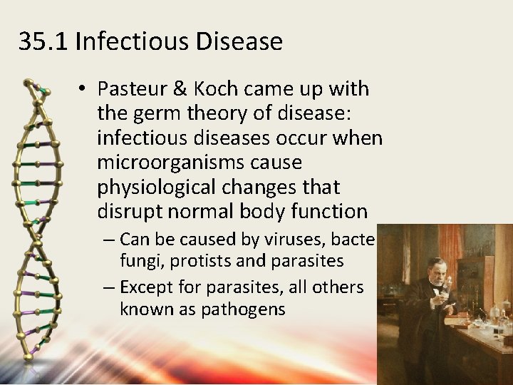 35. 1 Infectious Disease • Pasteur & Koch came up with the germ theory