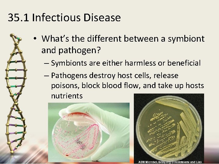 35. 1 Infectious Disease • What’s the different between a symbiont and pathogen? –