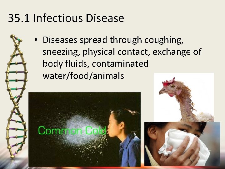 35. 1 Infectious Disease • Diseases spread through coughing, sneezing, physical contact, exchange of