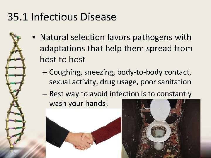 35. 1 Infectious Disease • Natural selection favors pathogens with adaptations that help them