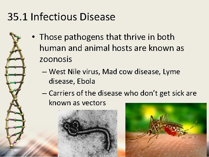 35. 1 Infectious Disease • Those pathogens that thrive in both human and animal