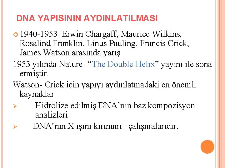 DNA YAPISININ AYDINLATILMASI 1940 -1953 Erwin Chargaff, Maurice Wilkins, Rosalind Franklin, Linus Pauling, Francis