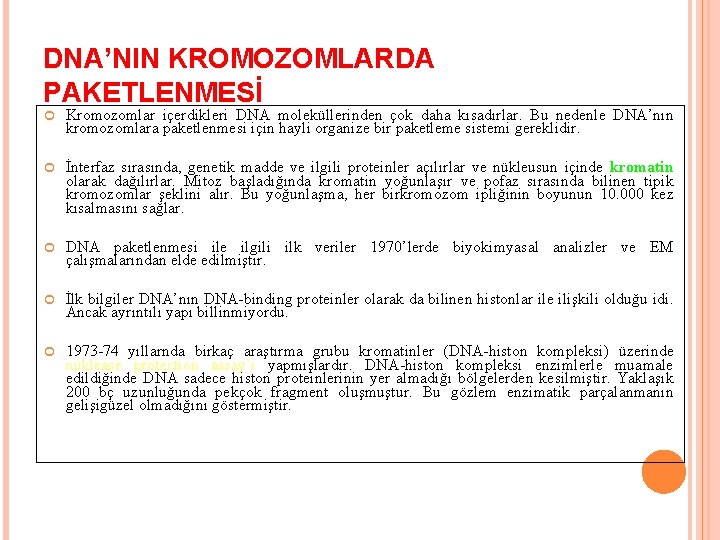 DNA’NIN KROMOZOMLARDA PAKETLENMESİ Kromozomlar içerdikleri DNA moleküllerinden çok daha kısadırlar. Bu nedenle DNA’nın kromozomlara