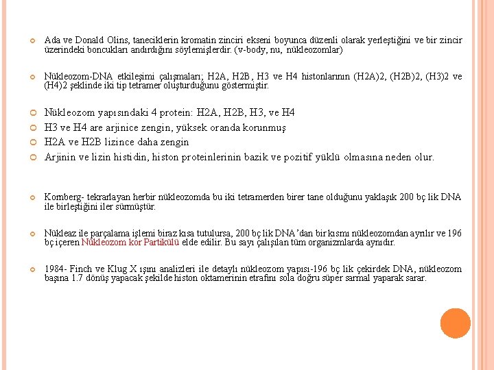  Ada ve Donald Olins, taneciklerin kromatin zinciri ekseni boyunca düzenli olarak yerleştiğini ve