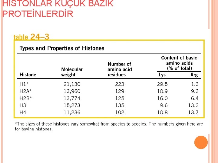 HİSTONLAR KÜÇÜK BAZİK PROTEİNLERDİR 