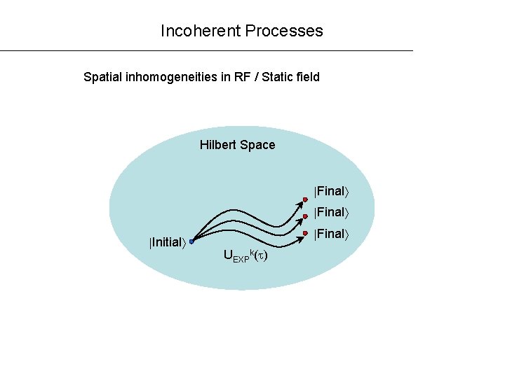 Incoherent Processes Spatial inhomogeneities in RF / Static field Hilbert Space Final Initial Final