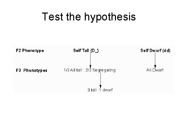Test the hypothesis 