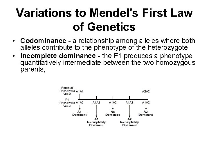Variations to Mendel's First Law of Genetics • Codominance - a relationship among alleles