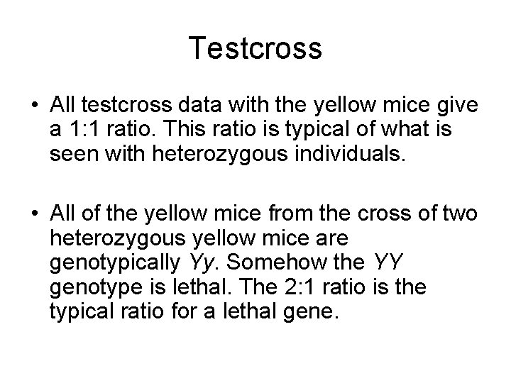 Testcross • All testcross data with the yellow mice give a 1: 1 ratio.