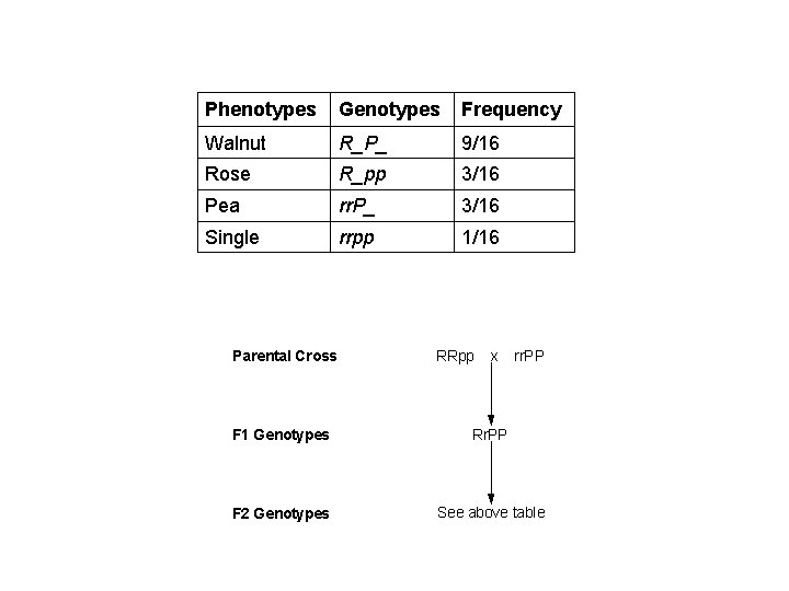 Phenotypes Genotypes Frequency Walnut R_P_ 9/16 Rose R_pp 3/16 Pea rr. P_ 3/16 Single