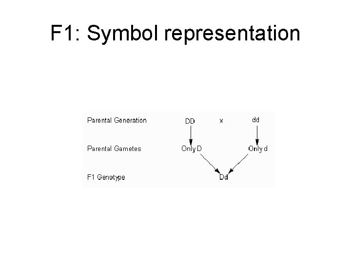 F 1: Symbol representation 