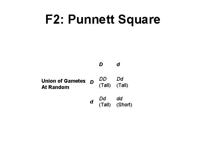 F 2: Punnett Square D d Dd Union of Gametes D DD (Tall) At