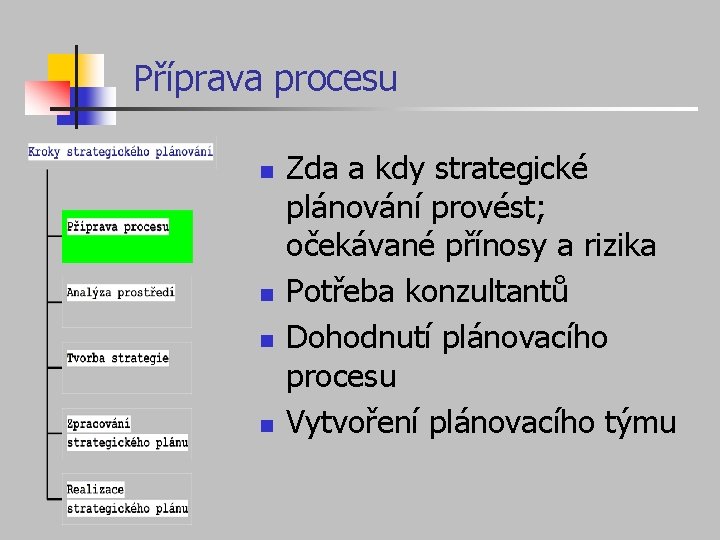 Příprava procesu n n Zda a kdy strategické plánování provést; očekávané přínosy a rizika