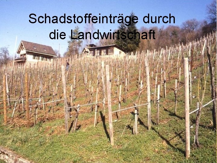 Schadstoffeinträge durch die Landwirtschaft 