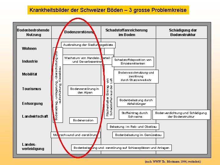 Krankheitsbilder Schweizer Böden – 3 grosse Problemkreise Bodenbedrohende Nutzung Bodenzerstörung Entsorgung Landwirtschaft Wachstum von