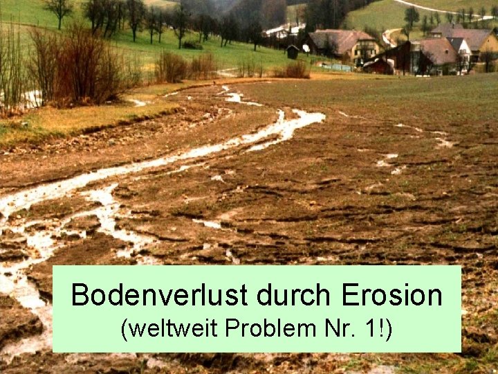 Bodenverlust durch Erosion (weltweit Problem Nr. 1!) 