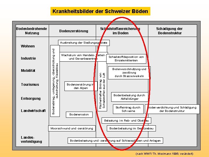 Krankheitsbilder Schweizer Böden Bodenbedrohende Nutzung Bodenzerstörung Entsorgung Landwirtschaft Wachstum von Handels-, Verteil. Schadstoffdeposition von