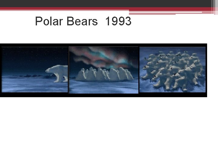 Polar Bears 1993 