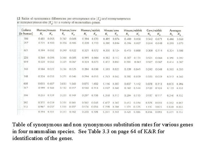 Table of synonymous and non synonymous substitution rates for various genes in four mammalian