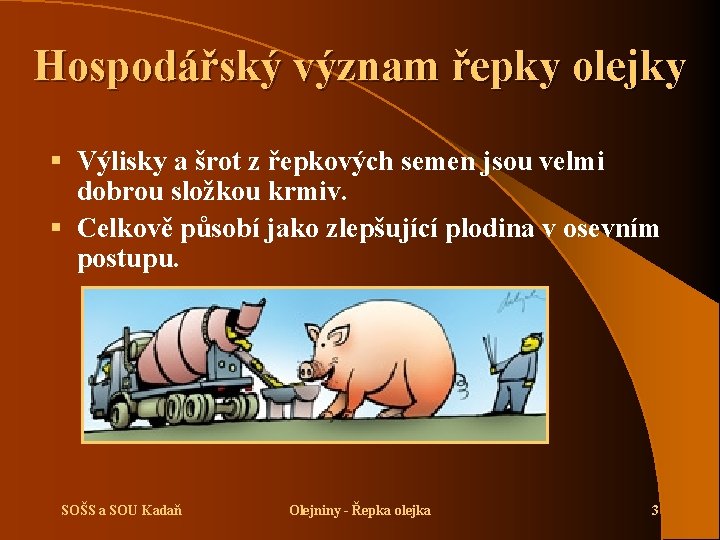 Hospodářský význam řepky olejky § Výlisky a šrot z řepkových semen jsou velmi dobrou