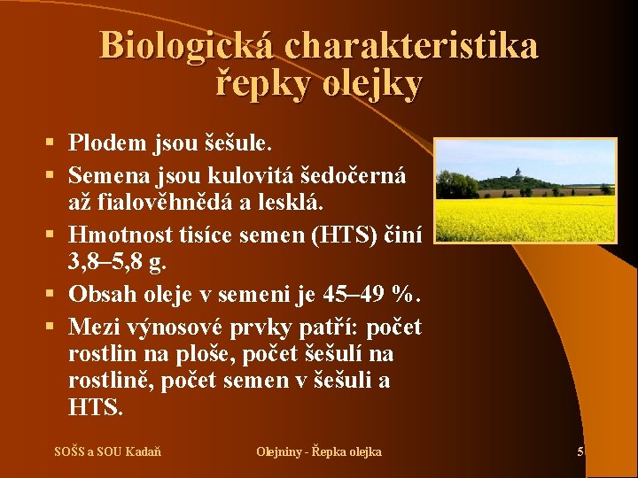 Biologická charakteristika řepky olejky § Plodem jsou šešule. § Semena jsou kulovitá šedočerná až