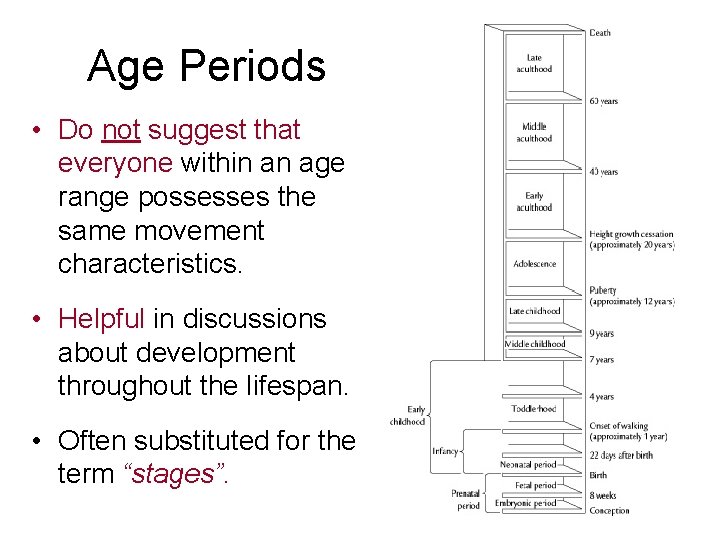 Age Periods • Do not suggest that everyone within an age range possesses the