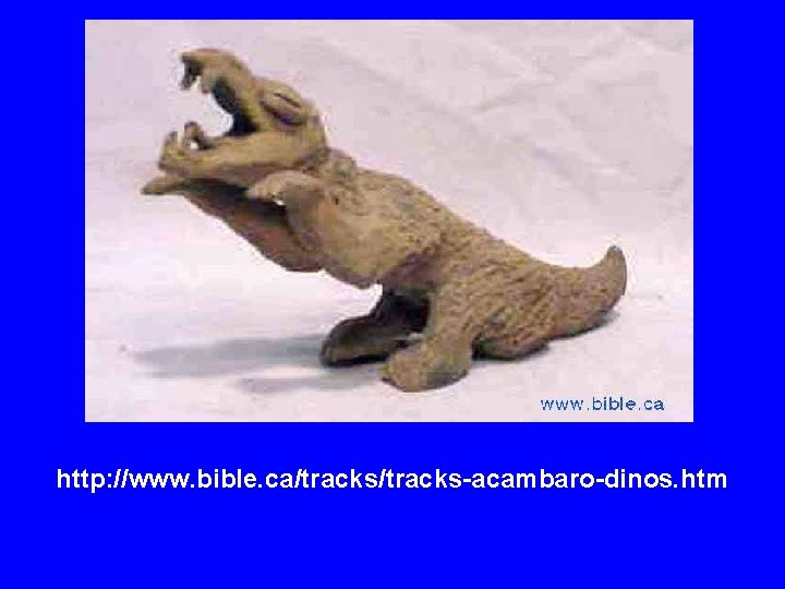 http: //www. bible. ca/tracks-acambaro-dinos. htm 