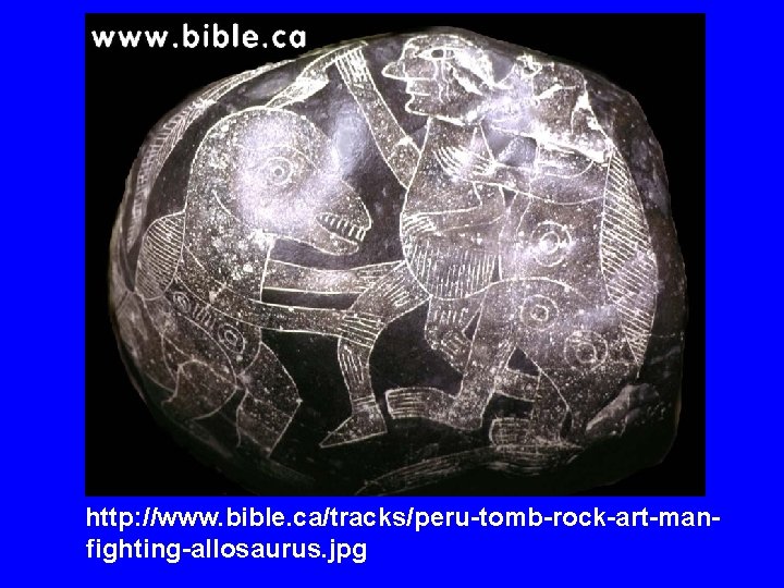 http: //www. bible. ca/tracks/peru-tomb-rock-art-manfighting-allosaurus. jpg 