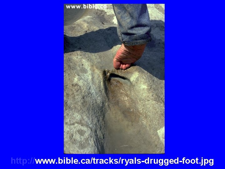 http: //www. bible. ca/tracks/ryals-drugged-foot. jpg 