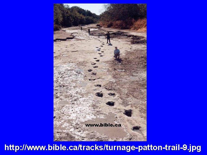 http: //www. bible. ca/tracks/turnage-patton-trail-9. jpg 