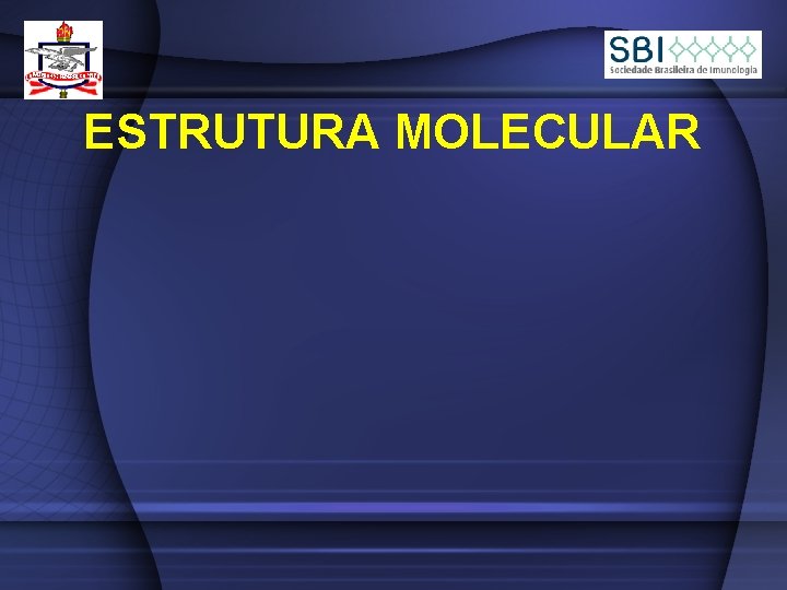 ESTRUTURA MOLECULAR 