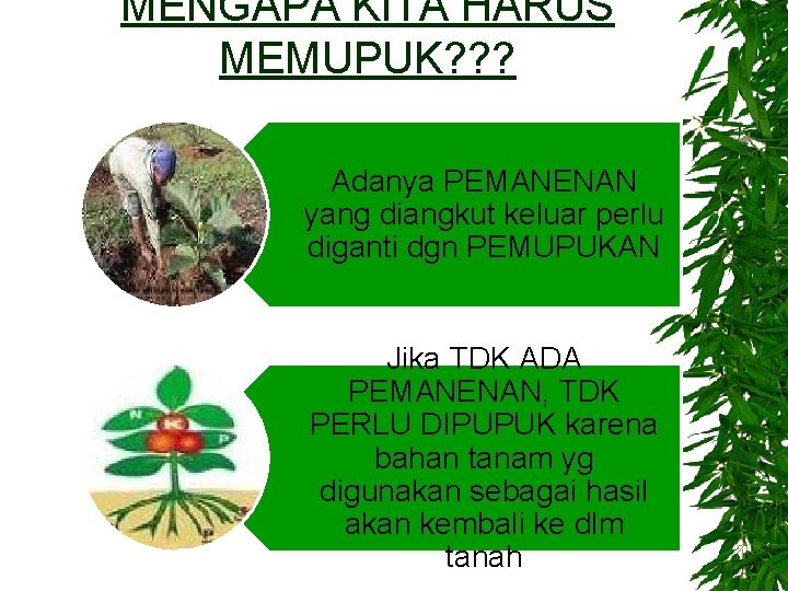 MENGAPA KITA HARUS MEMUPUK? ? ? Adanya PEMANENAN yang diangkut keluar perlu diganti dgn